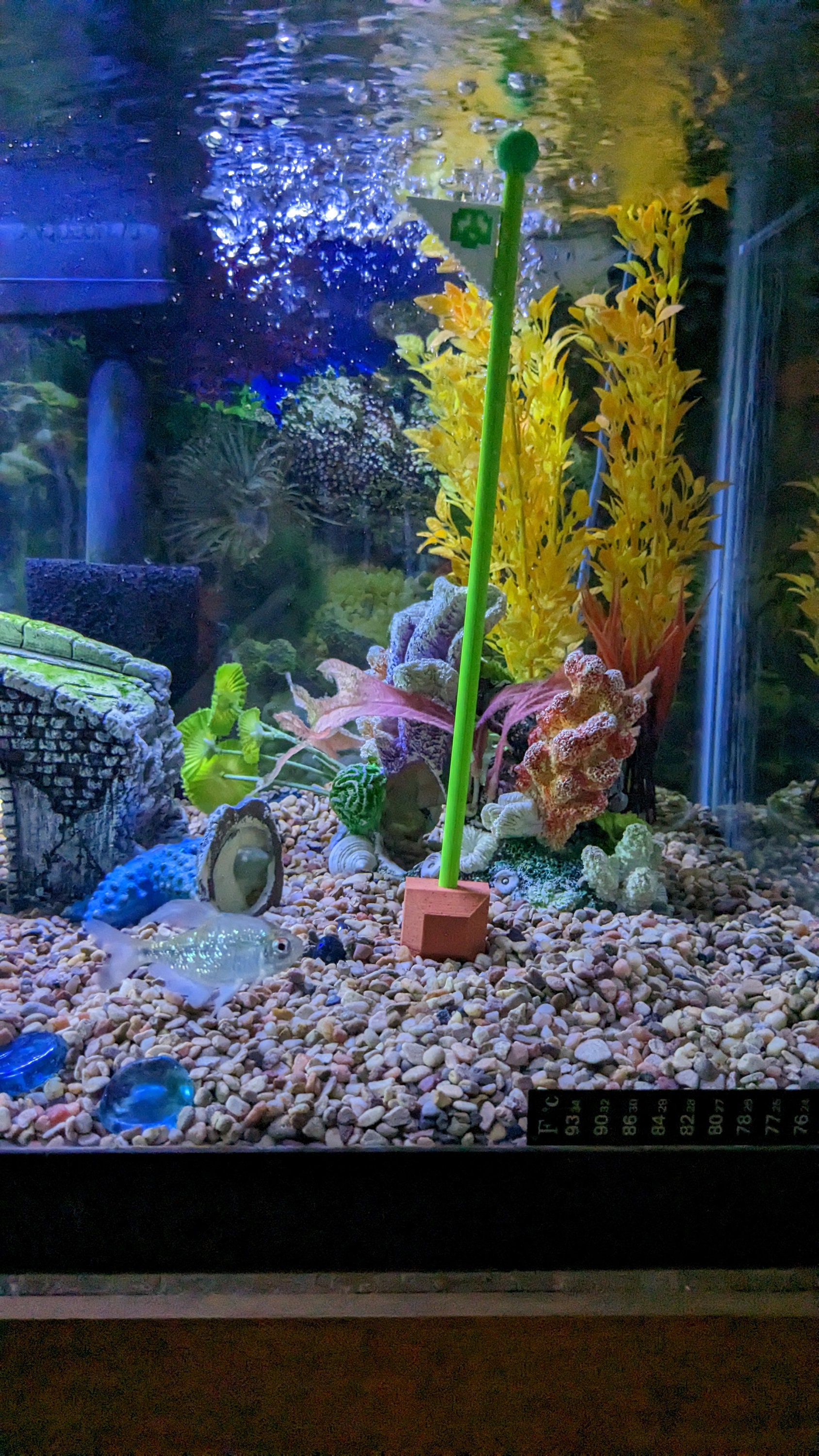 buy mario fish tank accessories Decorations, Small for Aquarium Decor Arrange each feature for the perfect look and display your creation in the home or workplace for all to enjoy.This home decor aquarium comes with fun functions Making A Kirby Themed Fish