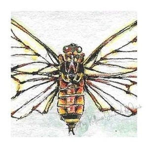 Mini imán artístico n.° 1: Cigarra. Impresión en acuarela y tinta de 3,8 x 3,8 cm. Ideal como regalo, imán para el refrigerador o etiqueta de regalo.