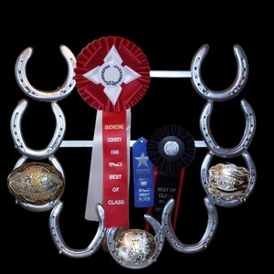 Belt Buckle and Ribbon Display