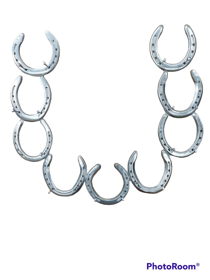 Horseshoe Belt Buckle Display Etsy