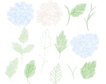 Hydrangea flowers, hydrangea clipart, watercolor hydrangeas, blue hydrangeas, commercial use clipart, grandmillennial clipart, hydrangea