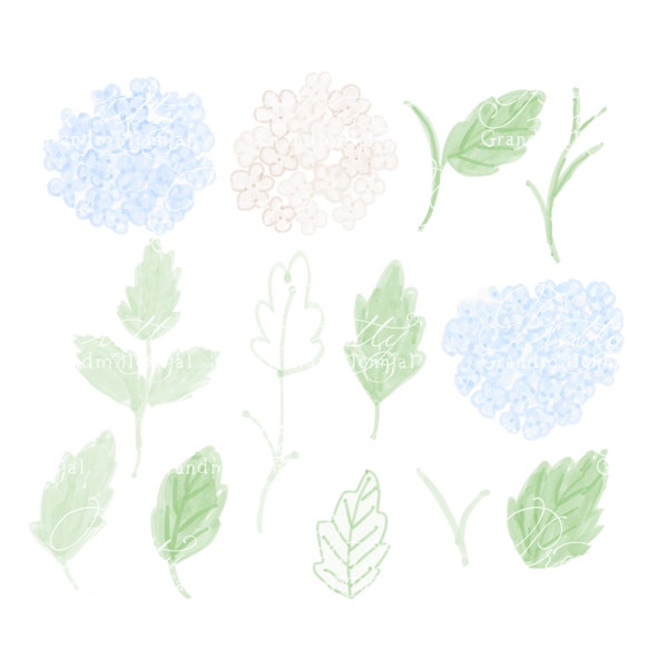 Hydrangea flowers, hydrangea clipart, watercolor hydrangeas, blue hydrangeas, commercial use clipart, grandmillennial clipart, hydrangea