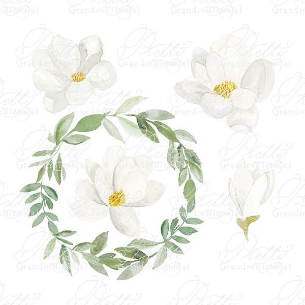 Watercolor Magnolia flowers, magnolia clipart, watercolor magnolia clipart, clipart, commercial use, magnolia flowers clipart