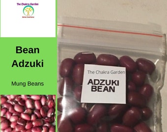 Bean 'Adzuki' 'Red Mung Bean' -Edibles-Base Chakra-Seeds