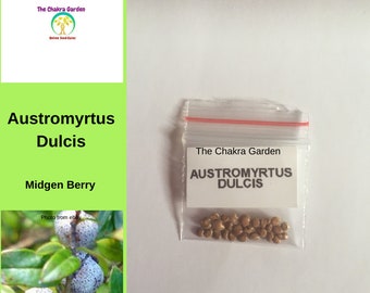 Austromyrtus Dulcis (Midgen/Midyim Berry) - EDIBLES- 25 Seeds