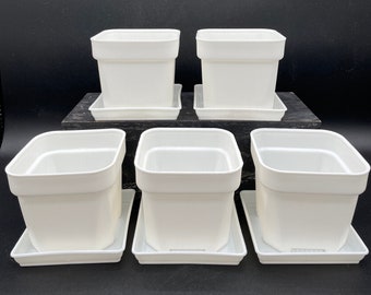 5 Packs of 3 inch Premium quality White Plastic Square Succulent Pots with Drainage Hole and Saucers/Small succulent/seedlings/foliage plant