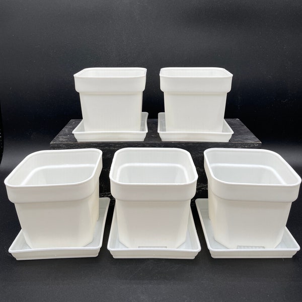 5 Packs of 3 inch Premium quality White Plastic Square Succulent Pots with Drainage Hole and Saucers/Small succulent/seedlings/foliage plant