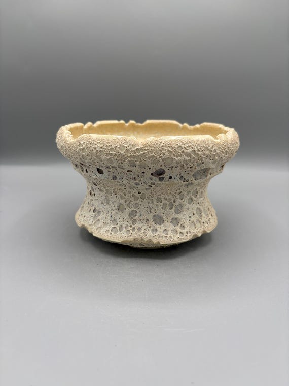 5.5 inch W* 3.75 inch H/ High Quality Handmade Ceramic Pottery/ Ivory Moonfoam Series/ Crater Bubbles Planter/ Succulent Planter/Caudex Pot