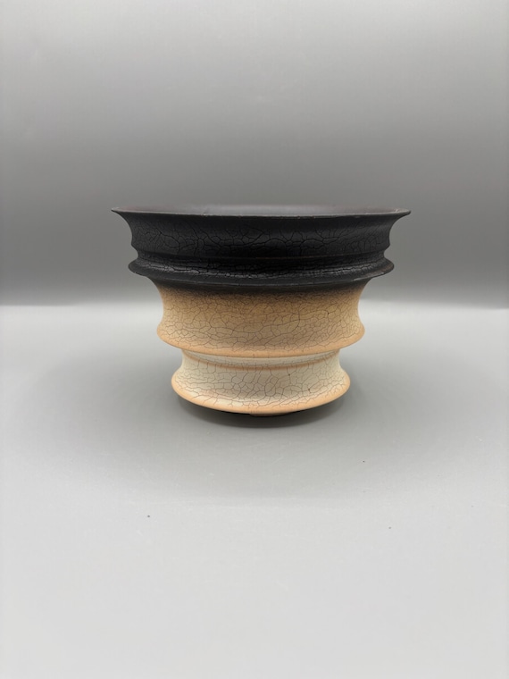 Handmade Ceramic Succulent Pot: Black Caudex Planter (6x4 inch)