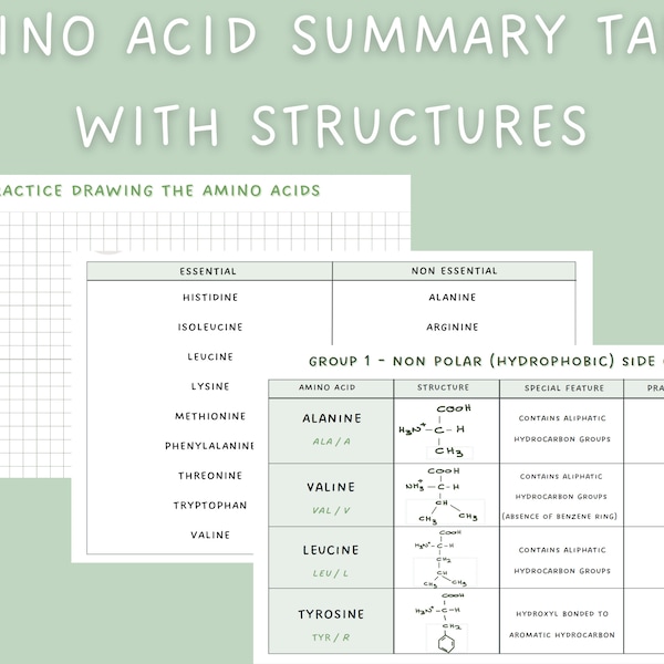 Amino Acid Summary Table, Chemical Structures, Drawing Practice, Study Guide Notes, Digital Download, Medical Student Notes, Premed