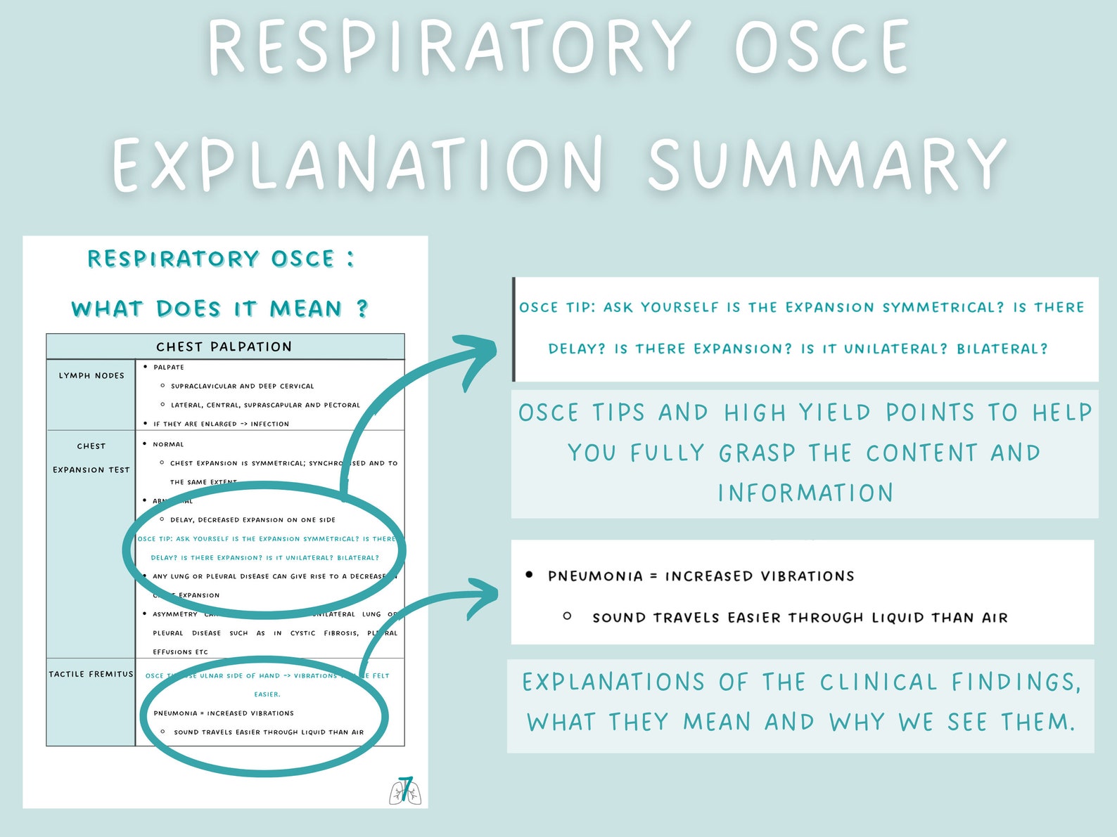 Full Respiratory Physical Exam Explanation, Respiratory OSCE Summary, Study Guide Notes, Digital