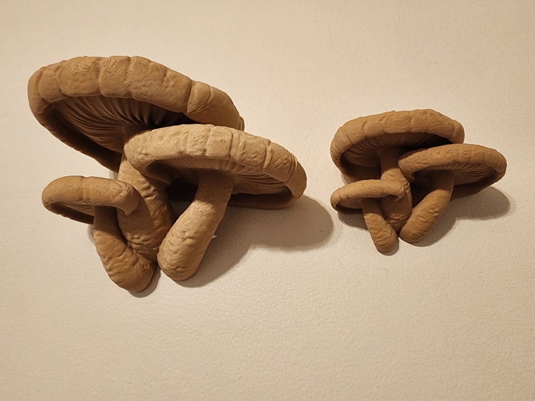 Mushroom Shelf Shiitake Fungus Wall Mounted Shelves Fungus Etsy
