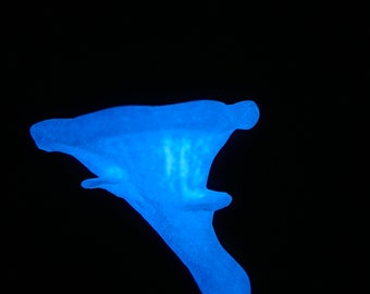 Glow in the Dark /Mushroom Shelf/Oyster Fungus/Wall Mounted/Shelves/Fungus