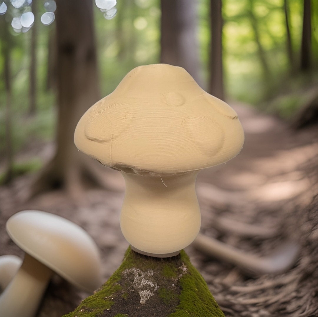 Watering Bell/ Mushroom Watering Bell/fungus Watering Bell/forest/cute