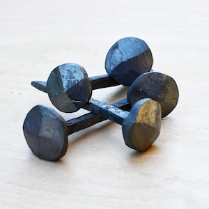 Gros clous tête 20 mm | Paquet de 10 pièces | Forgé à la main | Ongles décoratifs | Clous en fer | Têtes rondes | Rénovation des boiseries
