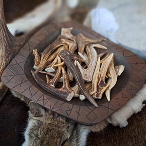 Könnte beinhalten: Eine Holzschale gefüllt mit verschiedenen Hirschgeweihen, die eine Reihe von Größen und natürlichen Farben aufweisen. Die Schale ist quadratisch mit geschnitzten geometrischen Mustern. Die Geweihe sind in Braun- und Beigetönen gehalten, was ein rustikales, natürliches Thema suggeriert.