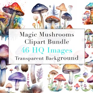46 PNG Magic Mushrooms Watercolor Clipart | Fairy Magic Forest clipart | Transparent PNG Bundle