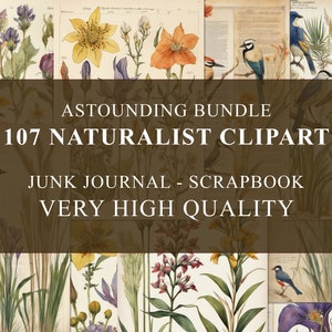 Junk Journal Naturalista, Flores, Pássaros, Natureza, decoupage, Ervas, imprimível, Gasto, Cartões de scrapbooks, alta definição