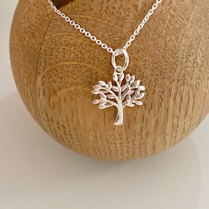 Levensboom ketting in 925 zilver aan een dunne zilveren ketting, levensboom, minimalistische ketting