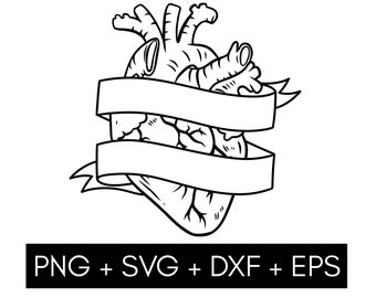 Heart Banner svg, Heart Ribbon svg, Heart svg, Banner svg - digital download svg, Anatomical Heart Drawing Svg, Valentines Svg