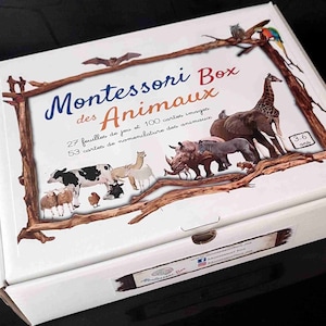 coffret Montessori des animaux, savoir tout sur les animaux, leurs petits, leur nourriture, habitat, lieu de vie, peau, yeux, oreilles..