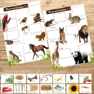 qui mange quoi ?, apprendre la nourriture des animaux, alimentation, que mange les animaux,  jeu montessori, 10 cartes image, jeu à imprimer