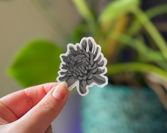 Hand-Drawn Chrysanthemum Sticker