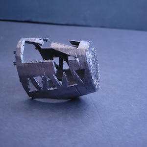 T -REX muzzle