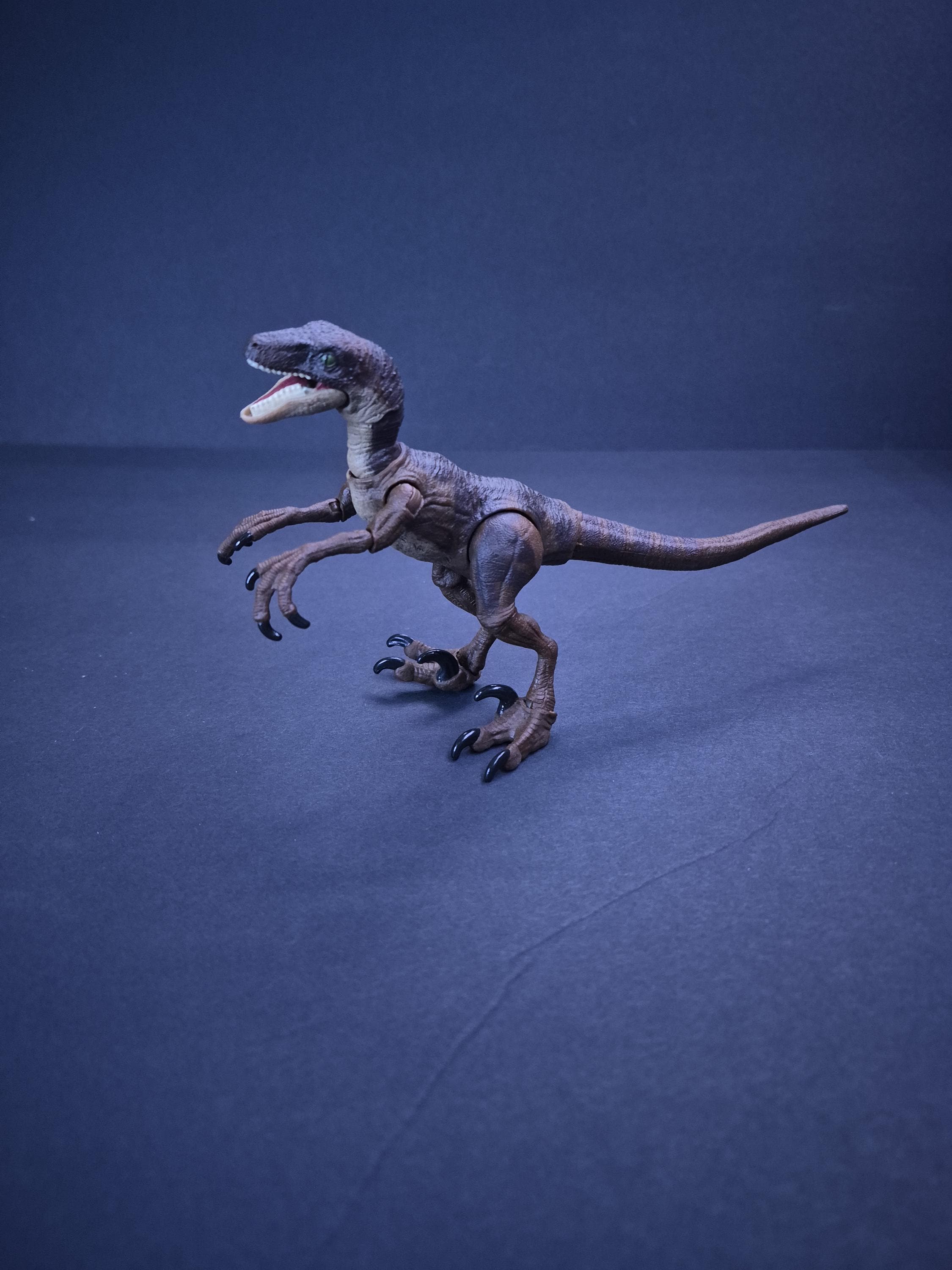 Hammond collection velociraptor blue - Etsy 日本
