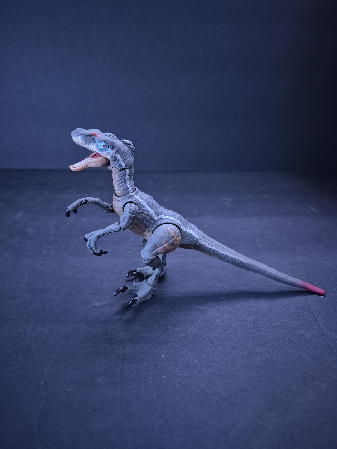 Hammond Collection Jp3 Raptor - Etsy
