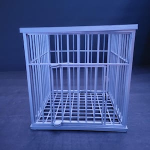 cage de dinosaure