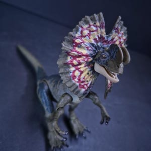 May include: A plastic Dilophosaurus dinosaur toy. The toy has a frill with red, yellow, and blue patterns, a grey body, and articulated limbs. The dinosaur is posed on a dark surface.