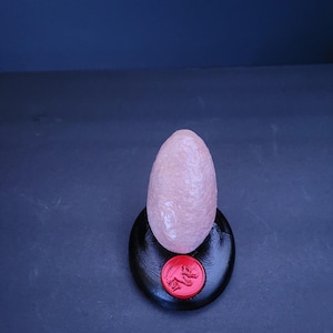 dinosaur egg