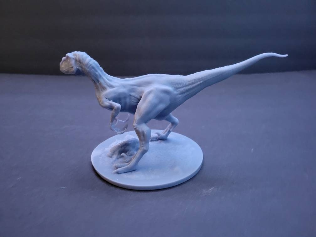 Velociraptor Statue *read - Etsy