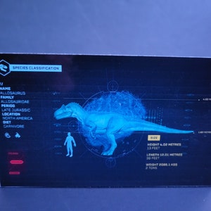 Allosaurus I.D