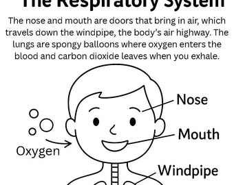 Human Body Coloring Book | STEM Anatomy Learning Pages