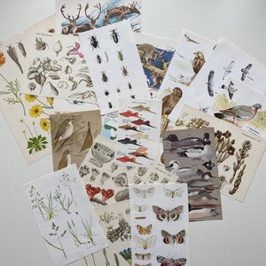 A bundle with animal and floral papers