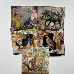 Cartes postales, cartes, jeu de cartes postales