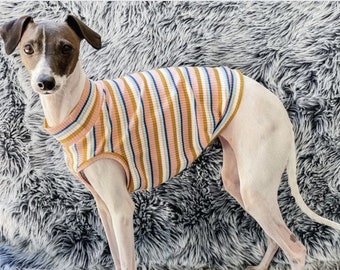 Rib Knit Tank Top - Italian Greyhound / Iggy Clothing Shirt