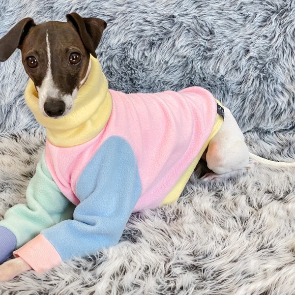 PRÊT à expédier le pull Daisy - lévrier italien, whippet, pull lévrier pull polaire