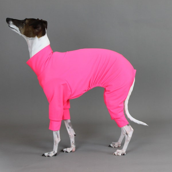 READY TO SHIP UPF50+ Sun Protection Full Body Suit - Dog Italian Greyhound Iggy Onesie Romper Rashie