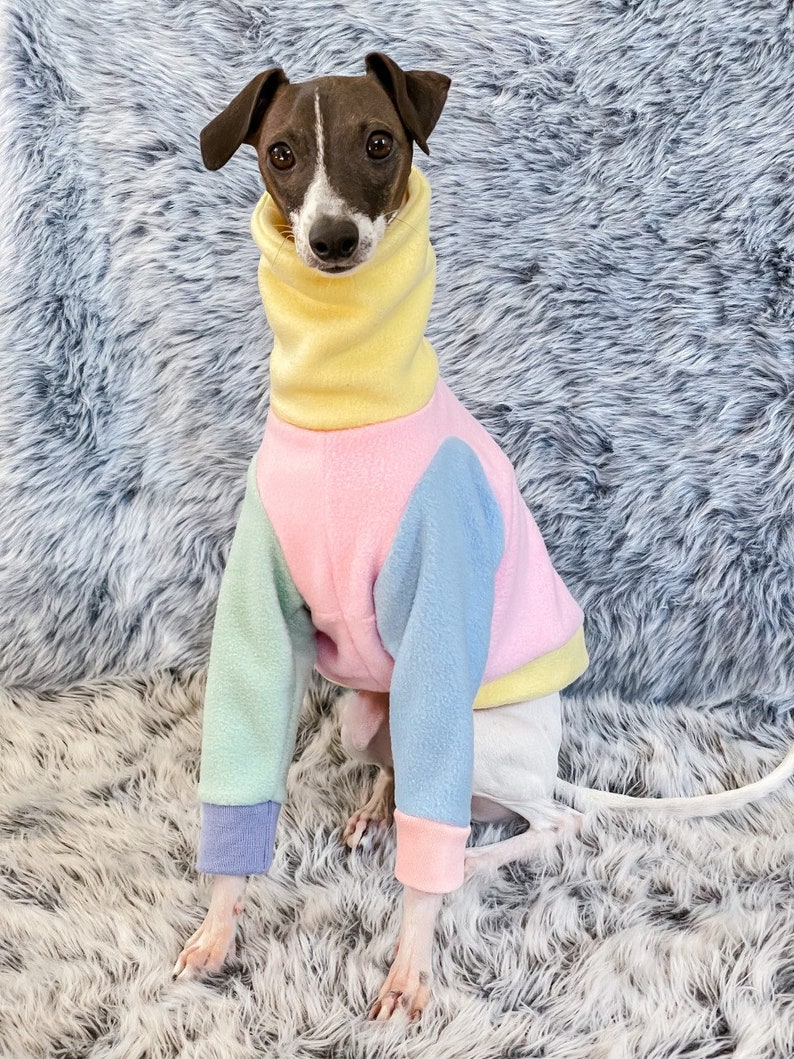 READY TO SHIP The Daisy Sweater Italian Greyhound, Whippet, Greyhound Sweater Jumper Fleece image 2