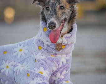 READY TO SHIP Purple Daisies Fur Onesie -Italian Greyhound, Whippet, Silken Windhound, Greyhound Romper Turtleneck Cuddle Faux Fur Fleece