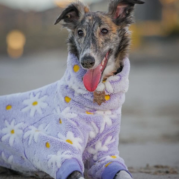 READY TO SHIP Purple Daisies Fur Onesie -Italian Greyhound, Whippet, Silken Windhound, Greyhound Romper Turtleneck Cuddle Faux Fur Fleece