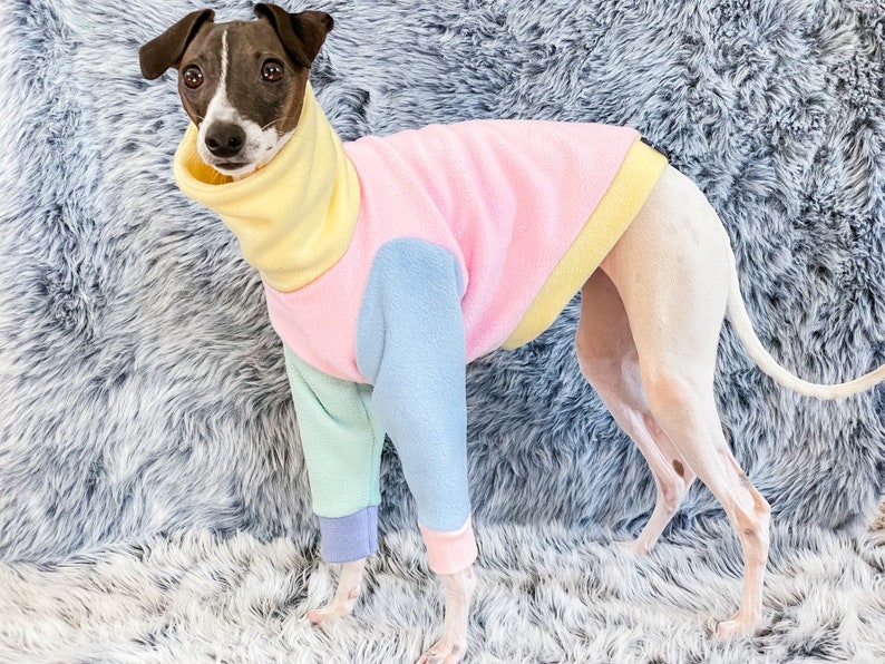 READY TO SHIP The Daisy Sweater Italian Greyhound, Whippet, Greyhound Sweater Jumper Fleece image 4