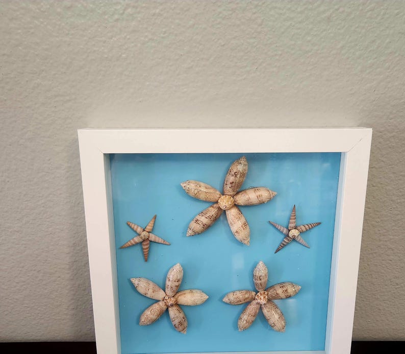 Shell Arrangments Beach Shell Picture Decor - Etsy