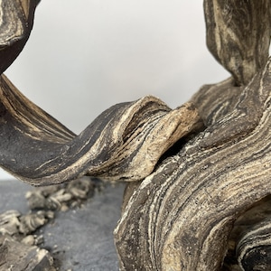 May include: A sculptural piece of driftwood featuring a complex, twisted form with prominent, layered grain patterns in shades of dark brown, charcoal black, and creamy beige. The surface texture is rough and weathered, showcasing natural organic curves.