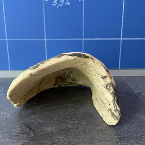 May include: A curved, beige pottery fragment with dark brown and black markings. The piece is approximately 3.9 inches (10 cm) in length. The background is a blue grid with handwritten text.