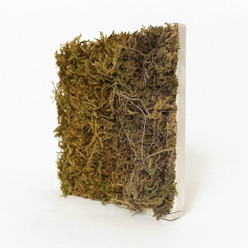 K&ouml;nnte beinhalten: Ein quadratisches Wandkunstwerk, das mit Moos bedeckt ist. Das Moos ist eine Mischung aus Gr&uuml;n und Braun mit einer strukturierten Optik. Die Kanten des St&uuml;cks sind hellgrau und bilden einen sauberen Rahmen. Das Kunstwerk wird vor einem wei&szlig;en Hintergrund pr&auml;sentiert.