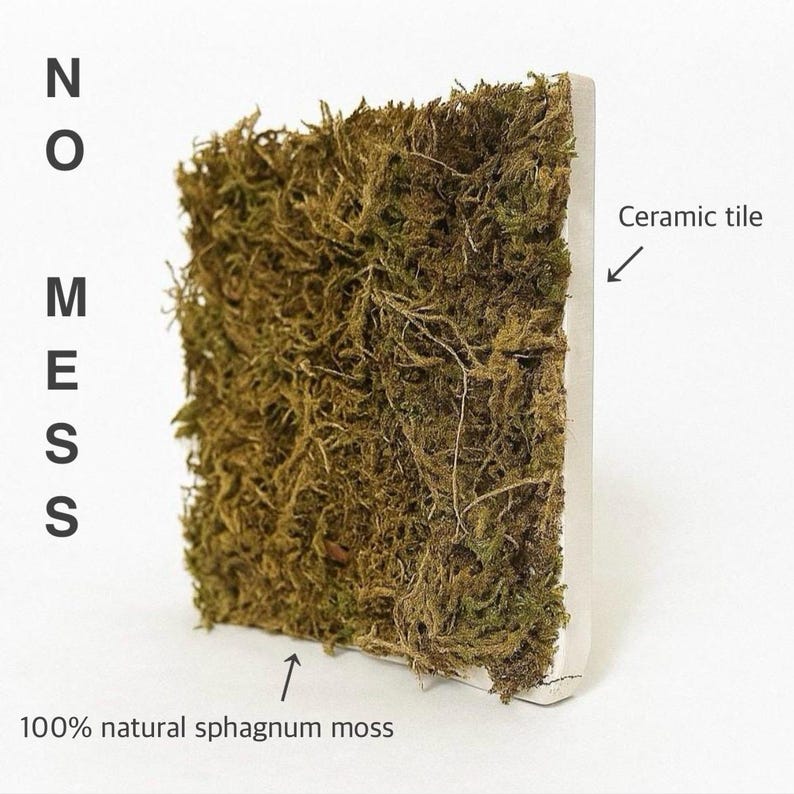 Moos Aufnäher | 10x10cm Bild 2